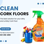 Clean Cork Floors