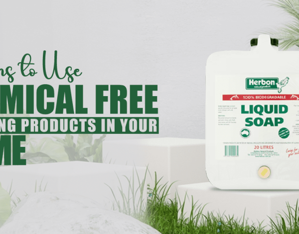 Reasons to Use Chemical Free Cleaning Products in Your Home